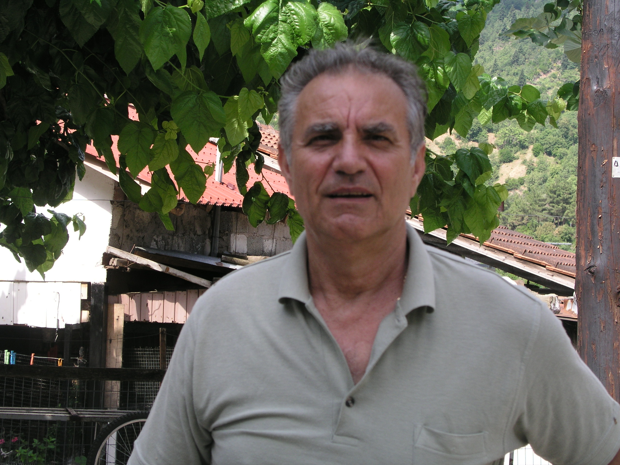 Κέφος Γιώργος